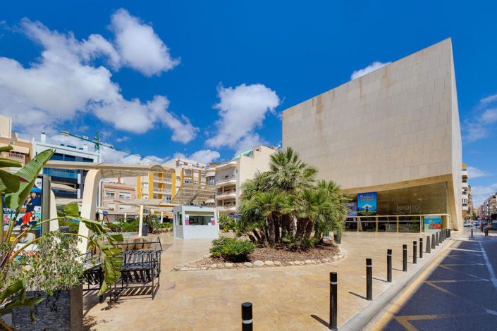 Image No.50-Appartement de 3 chambres à vendre à Torrevieja