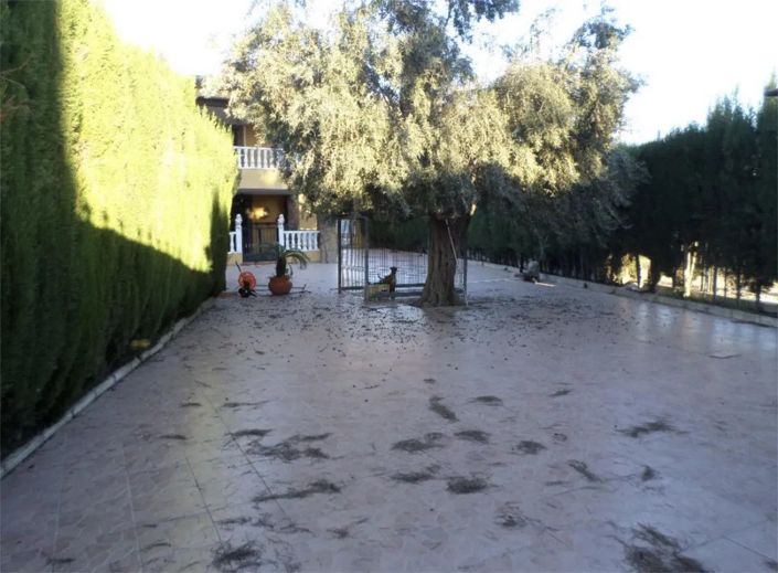 Image No.5-4 Bed House for sale