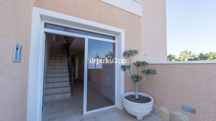 Image No.43-Appartement de 3 chambres à vendre à Guardamar del Segura