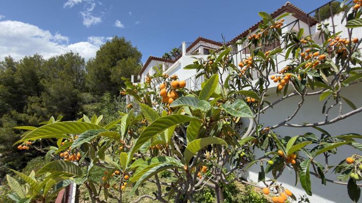 Image No.35-5 Bed Villa for sale