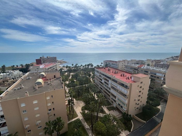 Image No.43-Appartement de 3 chambres à vendre à Torrevieja