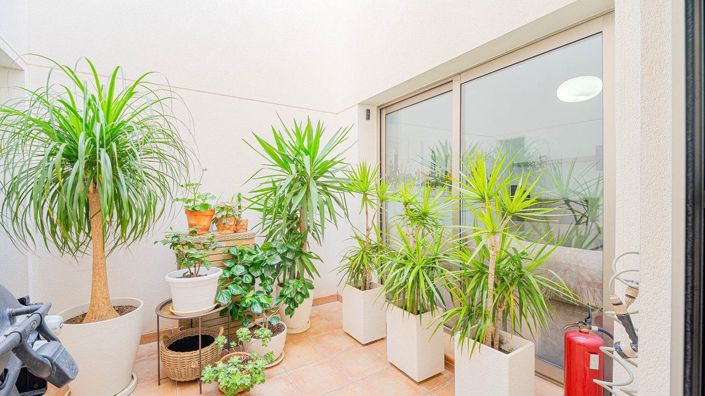 Image No.18-3 Bed House for sale
