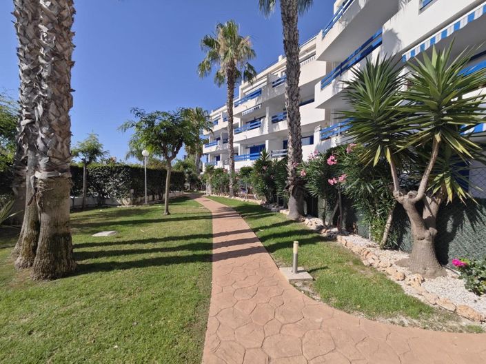 Image No.20-Appartement de 1 chambre à vendre à Orihuela Costa
