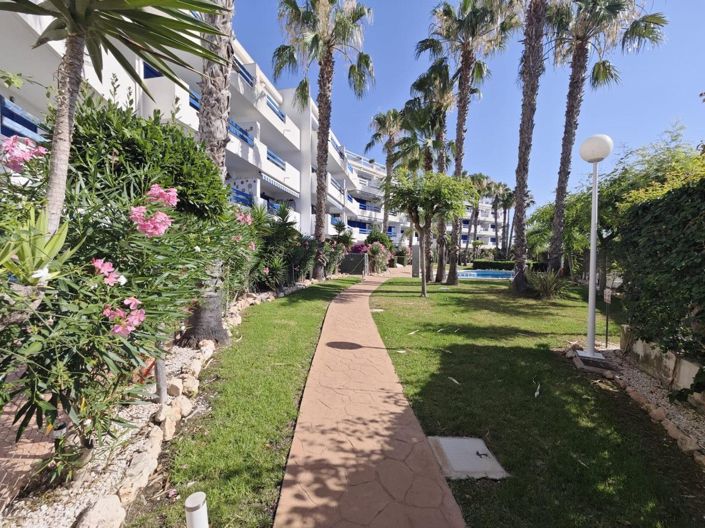 Image No.21-Appartement de 1 chambre à vendre à Orihuela Costa