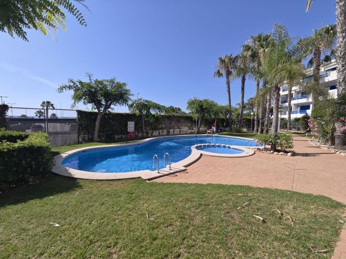 Image No.22-Appartement de 1 chambre à vendre à Orihuela Costa