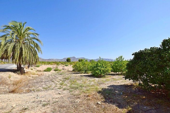 Image No.25-3 Bed Villa for sale