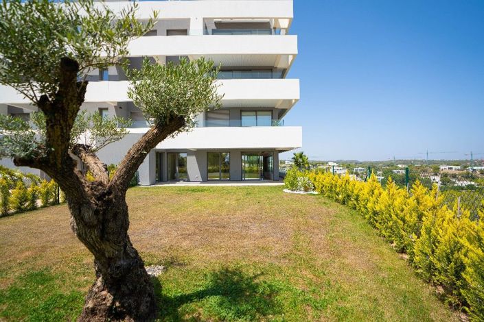 Image No.5-Appartement de 3 chambres à vendre à Orihuela