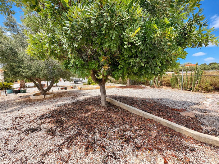 Image No.19-1 Bed Villa for sale