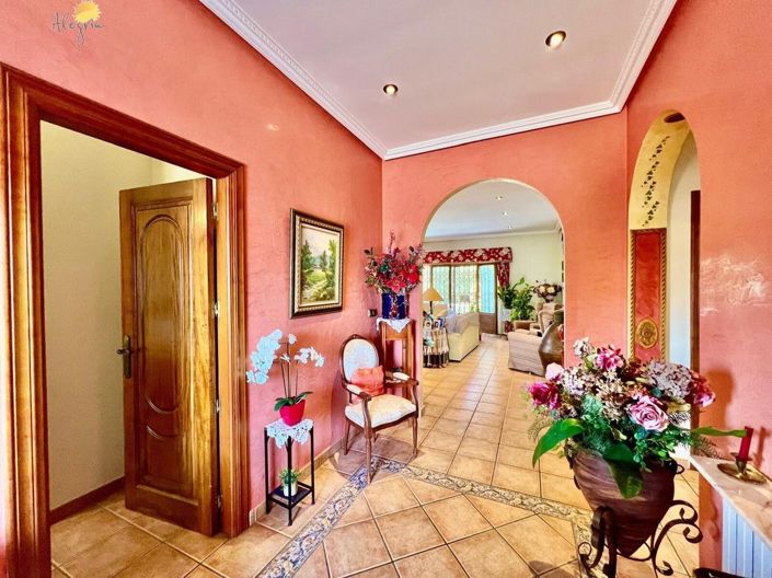 Image No.41-Villa de 1 chambre à vendre à Daya Vieja