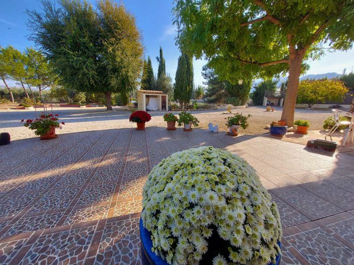 Image No.5-3 Bed Villa for sale