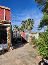 35043-for-sale-in-la-murada-11979870-large