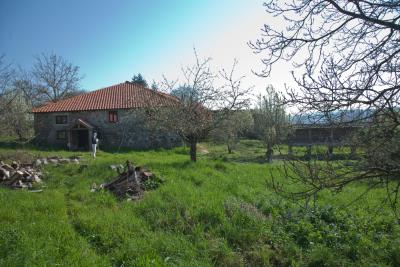 Garden-and-house