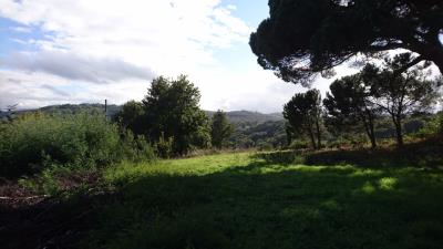 Views-garden