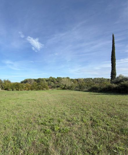 Image No.2-Land for sale