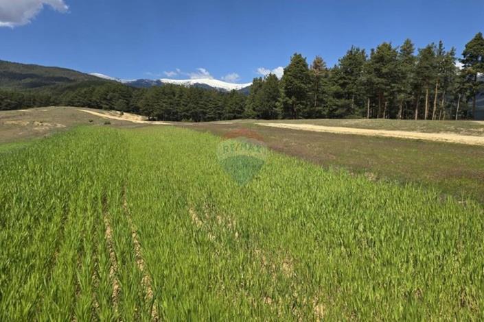 Image No.3-Land for sale