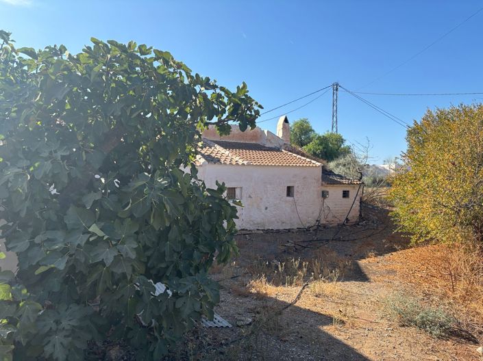Image No.3-4 Bed Country House for sale