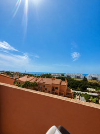 81521