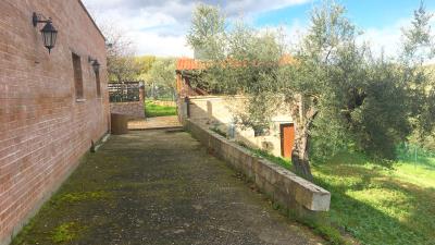 courtyard-and-garden--NE