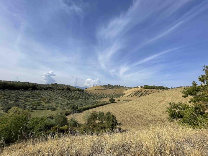 Image No.37-7 Bed Country Property for sale