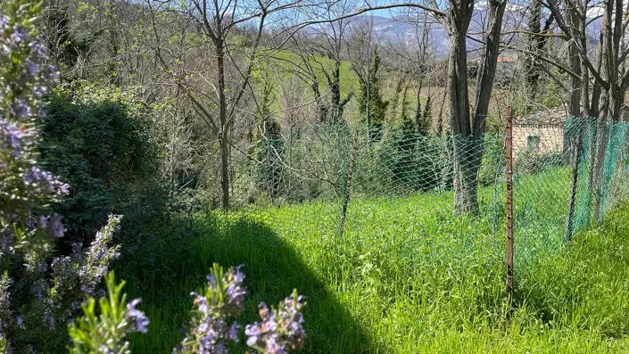 Image No.7-3 Bed Country Property for sale