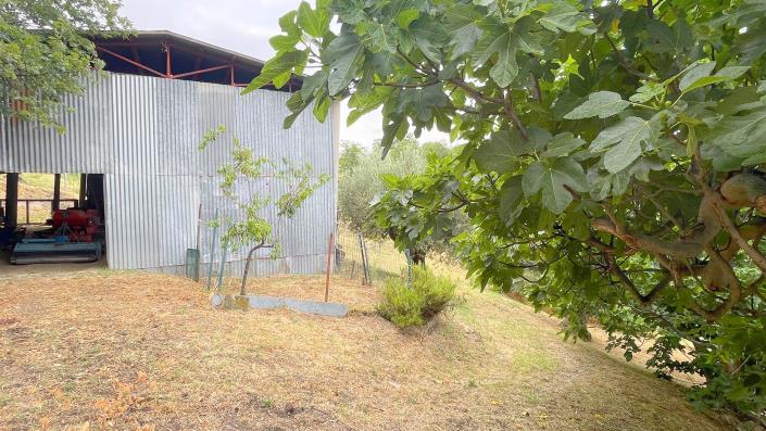 Image No.35-3 Bed Country Property for sale