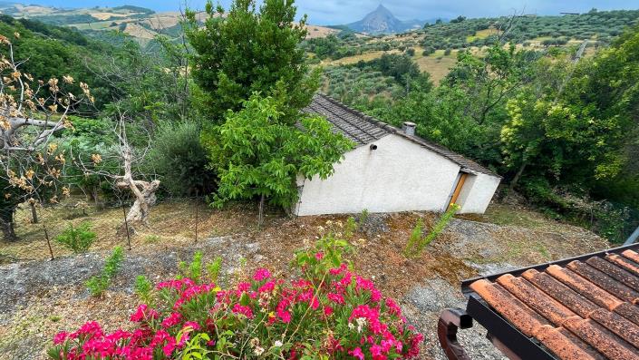 Image No.40-3 Bed Country Property for sale