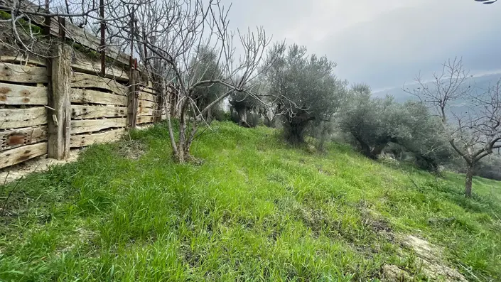 Image No.31-2 Bed Country House for sale