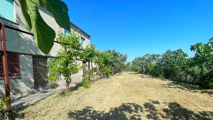 Image No.34-2 Bed Country House for sale
