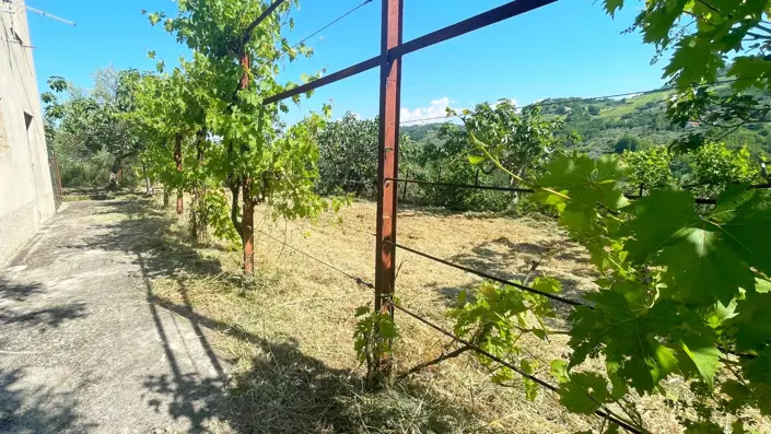Image No.35-2 Bed Country House for sale