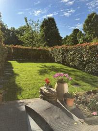 Back-garden-e