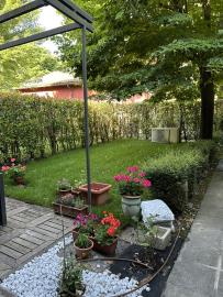 Front-garden-b