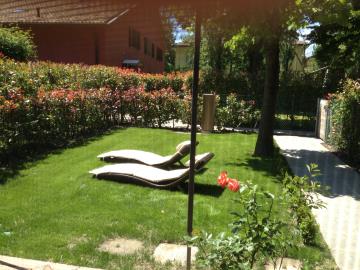 Front-garden-d