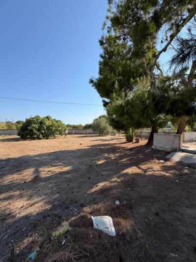 Image No.22-4 Bed House/Villa for sale