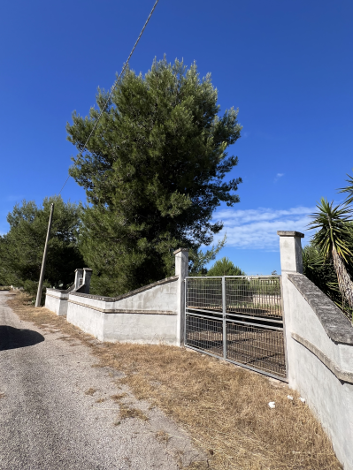 Image No.4-Land for sale