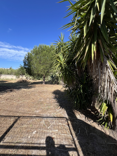 Image No.6-Land for sale