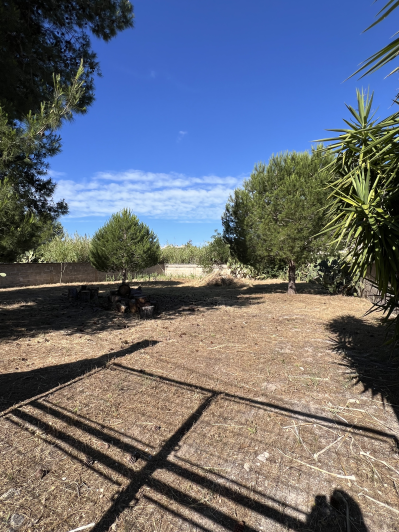 Image No.5-Land for sale