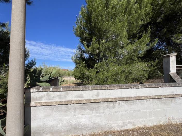 Image No.9-Land for sale