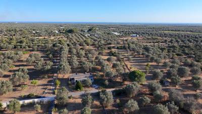 dji_fly_20260710_185132_0052_1783704087545_photo