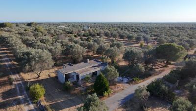 dji_fly_20260710_185110_0051_1783704089809_photo