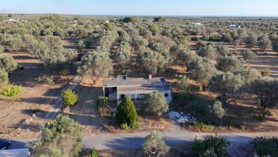 dji_fly_20260710_190002_0066_1783704000190_photo