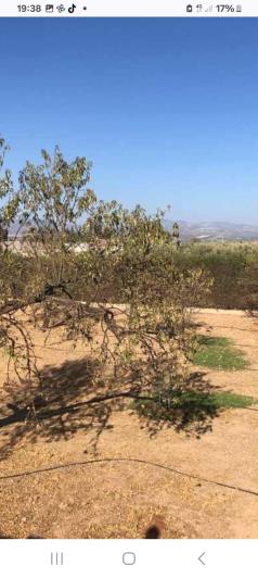 Image No.3-4 Bed House/Villa for sale