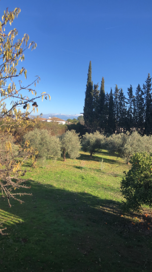Image No.36-4 Bed House/Villa for sale