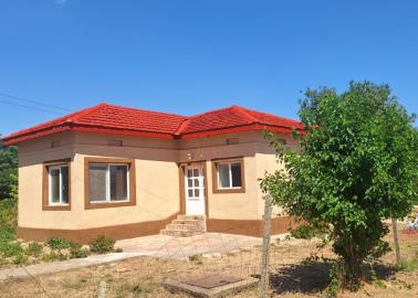 1000013176-037331