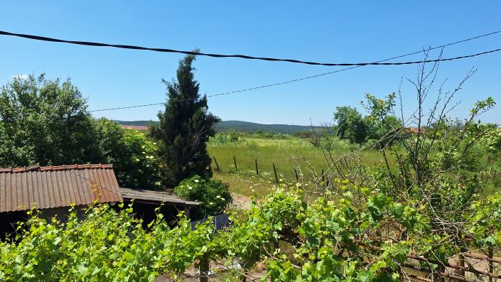 Image No.18-3 Bed Country House for sale