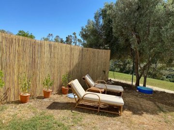Garden area 