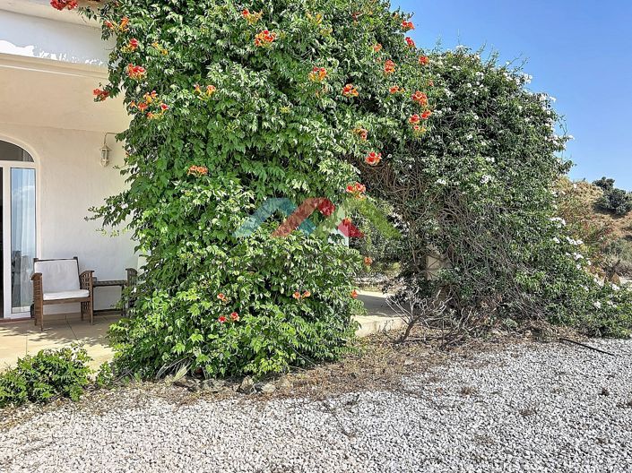 Image No.38-Villa de 4 chambres à vendre à Canillas de Aceituno