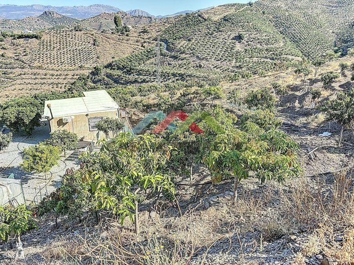 Image No.25-Country House for sale