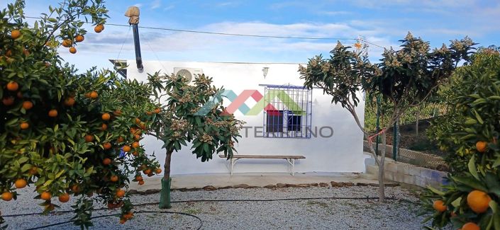Image No.34-Country House for sale
