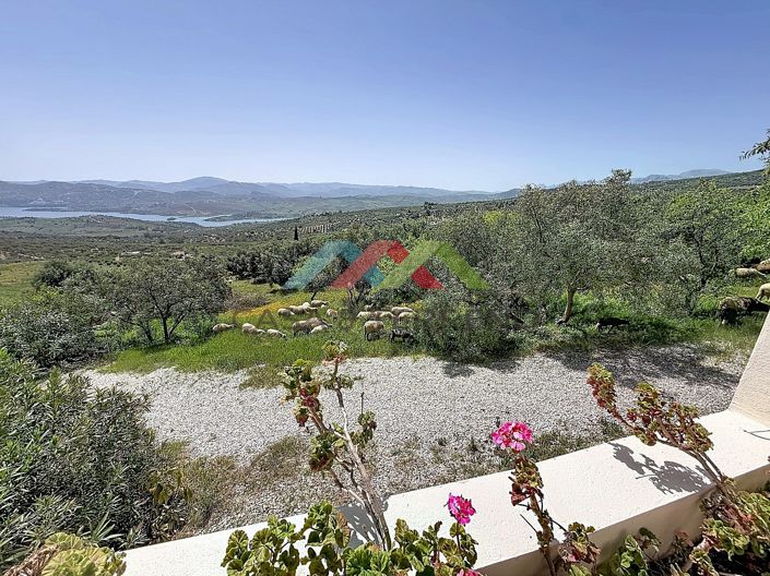 Image No.39-8 Bed Villa for sale