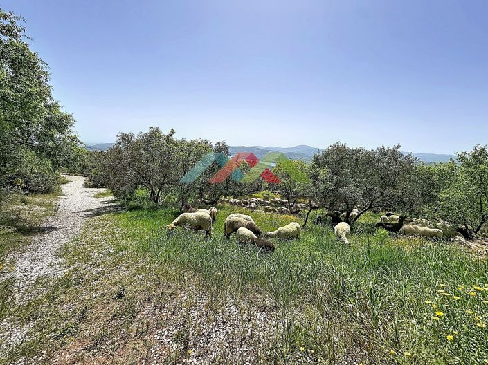 Image No.40-8 Bed Villa for sale
